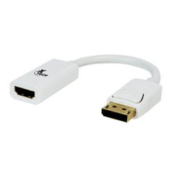 XTech DisplayPort Male to HDMI Female Adapter